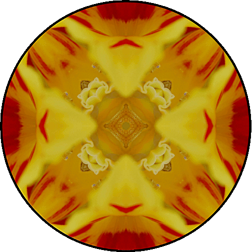 "Few are those who see with their own eyes and feel with their own hearts." ~Albert Einstein