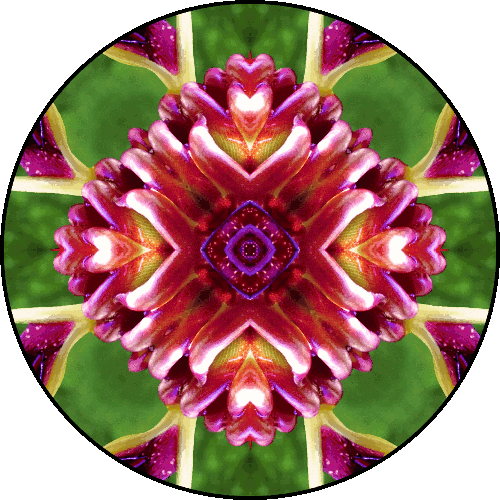 "Everyone grows old but not everyone grows up." ~Maya Angelou