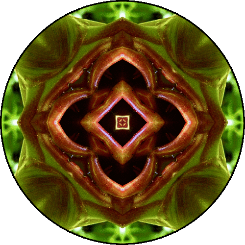 "We are not human beings having a spiritual experience. We are spiritual beings having a human experience." ~Pierre Teilhard de Chardin