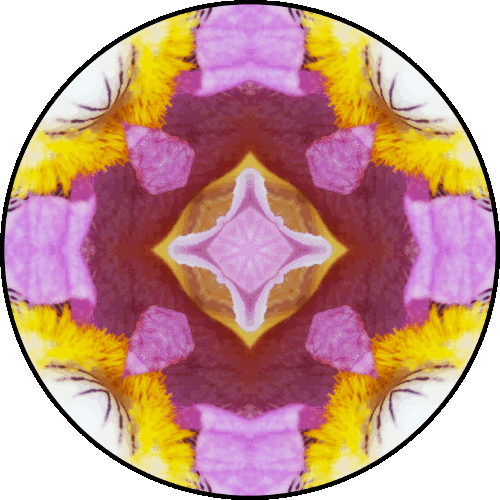 Daily Digital Mandala 42-Flight