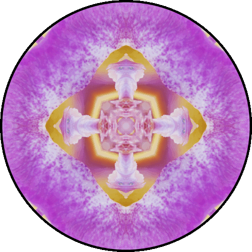 "Life has no meaning apriori... It is up to you to give it a meaning, and value is nothing but the meaning you choose." ~Jean Paul Sartre