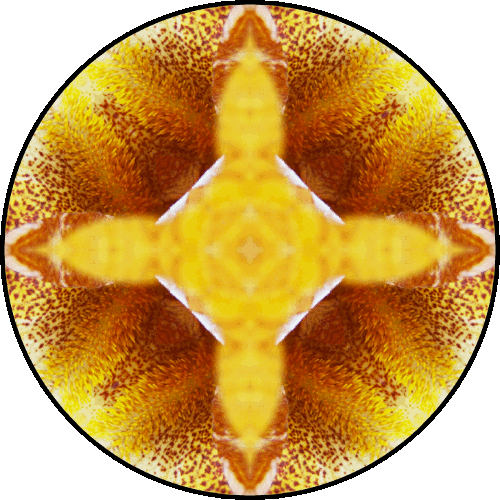 “If you have a garden and a library, you have everything you need.” ~Cicero