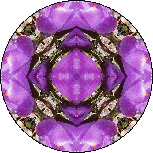 "Use the tonglen practice to see how you can place the anger or the fear or the loneliness in a cradle of loving-kindness." ~Pema Chödrön