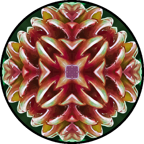 "Surrendering, letting go of possessiveness, and complete non-attachment—all are synonyms for accumulating merit." ~Pema Chödrön