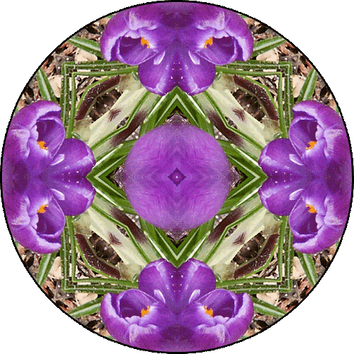 "One of the most powerful teachings of the Buddhist tradition is that as long as you are wishing for things to change, they never will." ~Pema Chödrön