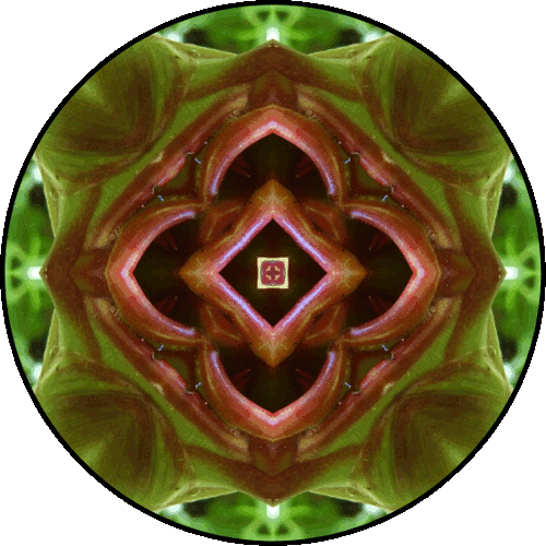 "If there’s some sense of wanting to change yourself, then it comes from a place of feeling that you’re not good enough." ~Pema Chödrön