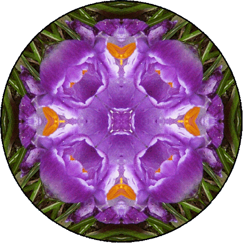 "Confidence is preparation. Everything else is beyond your control." ~Richard Kline