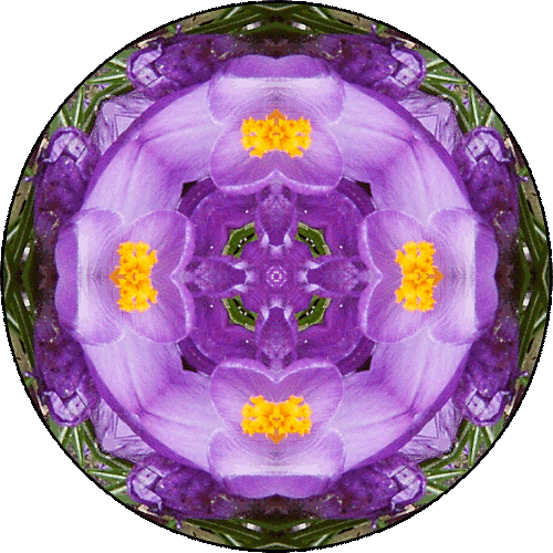 "When you're finished changing, you're finished." ~Benjamin Franklin