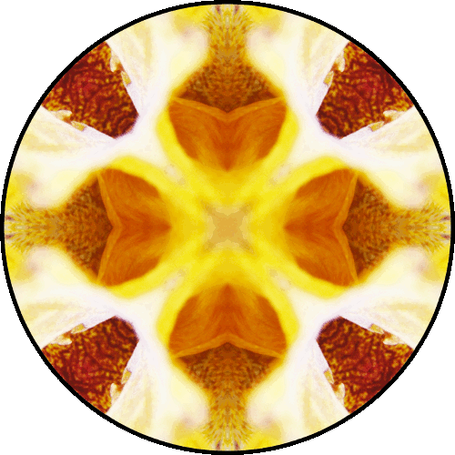 “Do something instead of killing time, because time is killing you.” ~Paulo Coelho