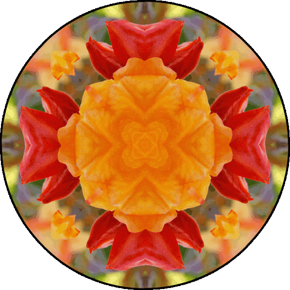 "If you do not hope, you will not find what is beyond your hopes." ~St. Clement of Alexandra