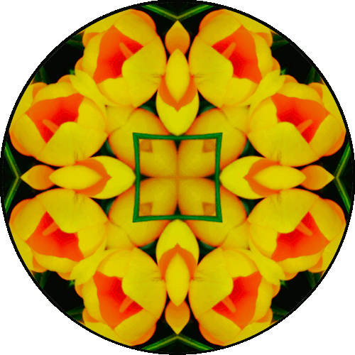 "Sometimes, you wake up. Sometimes, the fall kills you. And sometimes, when you fall, you fly." ~Neil Gaiman