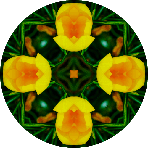 "If you light a lamp for someone else, it will also brighten your path." ~Buddha