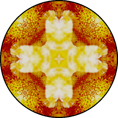 “A good traveler has no fixed plans and is not intent on arriving” ~Lao Tzu