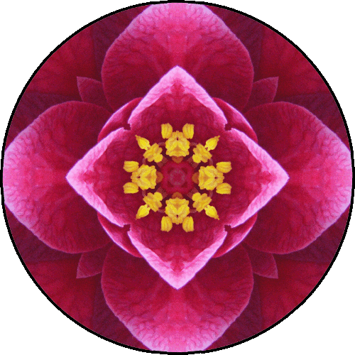 "Enlightenment is the ego's ultimate disappointment." ~Chogyam Trungpa