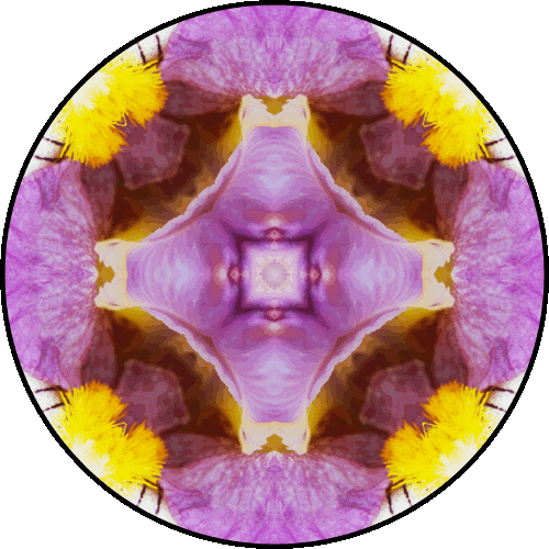 “Do not let the behavior of others destroy your inner peace.” ~Dalai Lama