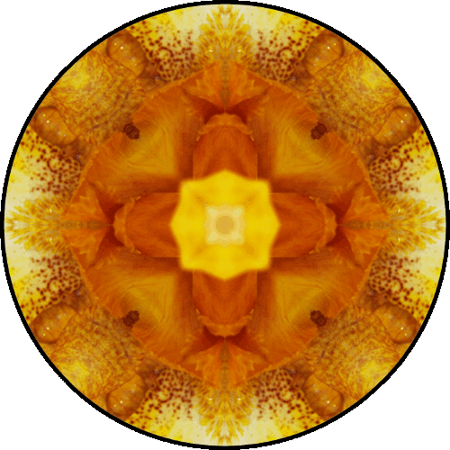 "You cannot find yourself by going into the past. You can find yourself by coming into the present." ~Eckhart Tolle