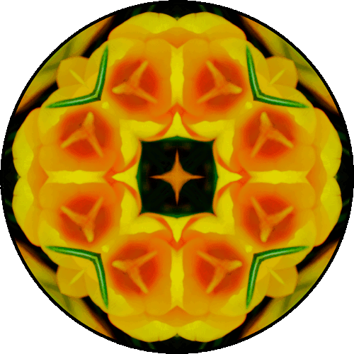 "We're stronger in places where we've been broken." ~Ernest Hemmingway