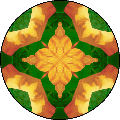 "Don’t worry about achieving. Don’t worry about perfection. Just be there each moment as best you can." ~Pema Chödrön