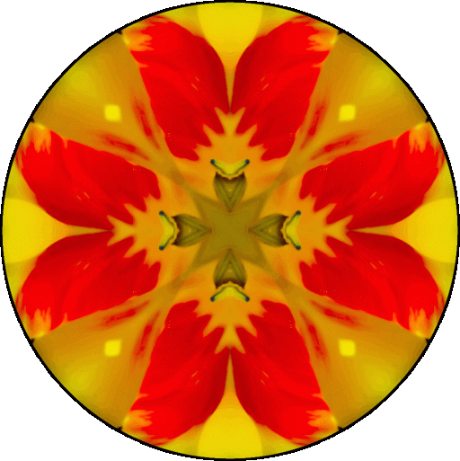 "There is a huge amount of freedom that comes to you when you take nothing personally." ~Don Miguel Ruiz