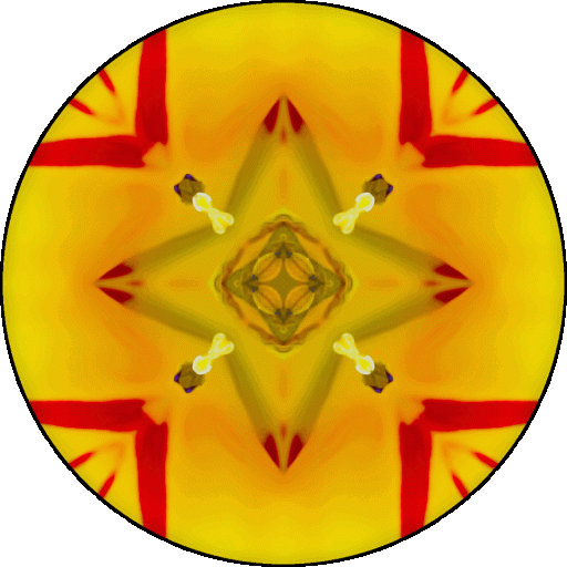 "With our minds we make a big deal out of ourselves, out of our pain, and out of our problems." ~Pema Chödrön 