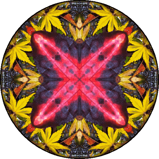 "How sad it is that we become so expert at causing harm to ourselves and others. The trick then is to practice gentleness and letting go." ~Pema Chödrön