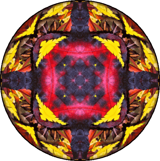 “The way you treat yourself sets the standard for others.” ~Sonya Friedman