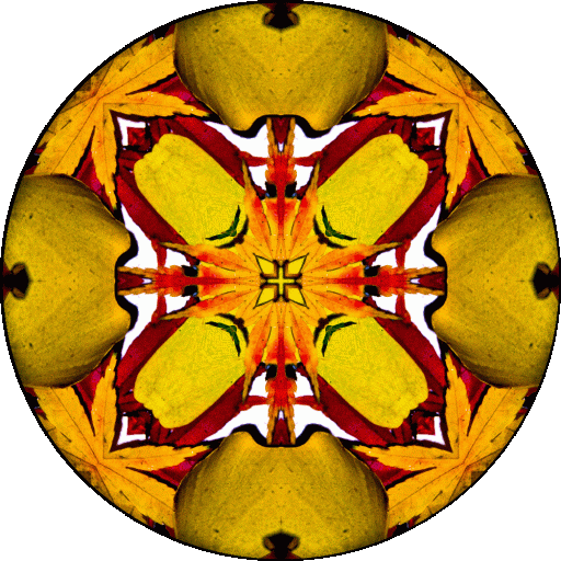 "May all beings come to rest in the boundless, all inclusive equanimity that is beyond attachment and aversion." ~Buddhist Prayer