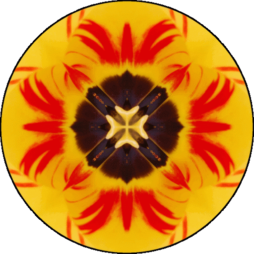 "Peace of mind is not the absence of conflict from life, but the ability to cope with it." ~Unknown