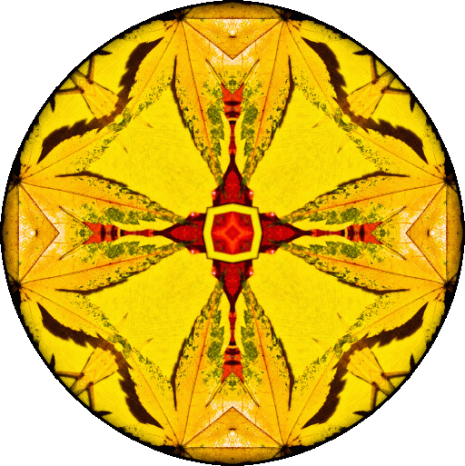 "I can't afford to hate anyone, I don't have that kind of time." ~Akira Kurosawa