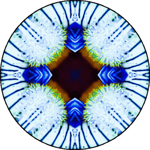 "Happiness is not something ready made. It comes from your own actions." ~Dalai Lama