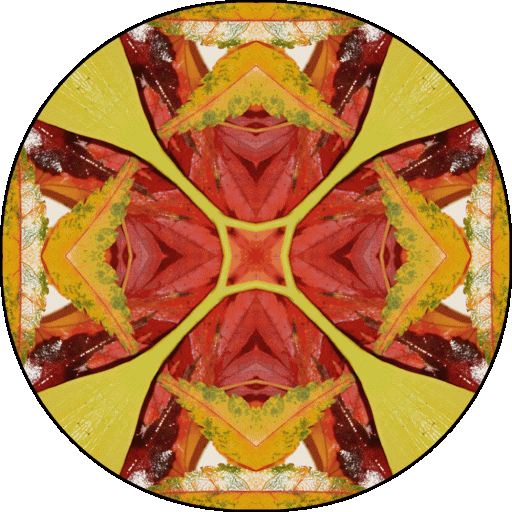 "We tend to think that if we disagree with someone, this automatically means there will be conflict." ~14th Dalai Lama