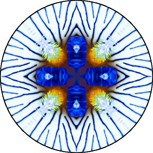 "At any given moment, you have the power to say: This is not how the story is going to end." ~Christine Mason Miller