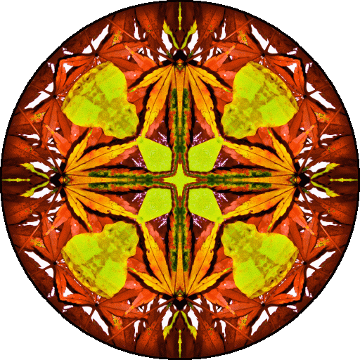 "The key is to show immediate interest in the other’s point of view. Surely this is something we can manage." ~14th Dalai Lama