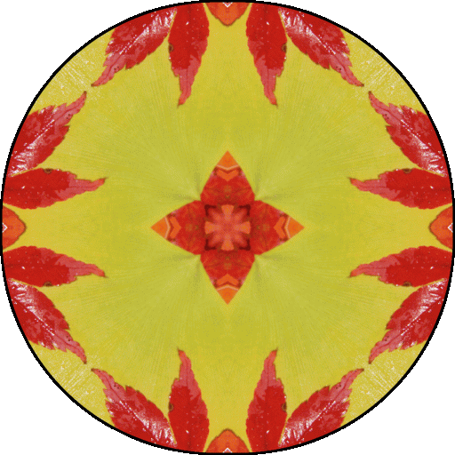 "We are shaped by our thoughts; we become what we think. When the mind is pure, joy follows like a shadow that never leaves." ~Buddha