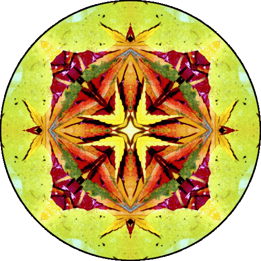 "We can let the circumstances of our lives harden us so that we become increasingly resentful and afraid, or we can let them soften us..." ~Pema Chödrön 