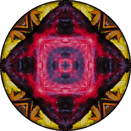 "It is our light, not our darkness that most frightens us." ~Marianne Williamson