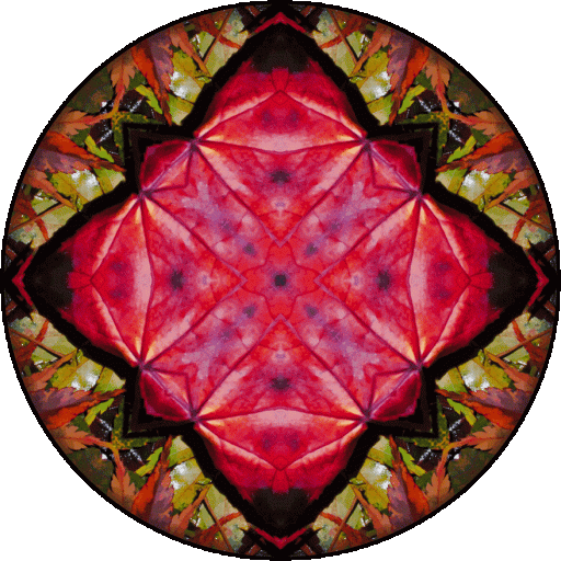 "The affairs of the world will go on forever. Do not delay the practice of meditation." ~Milarepa