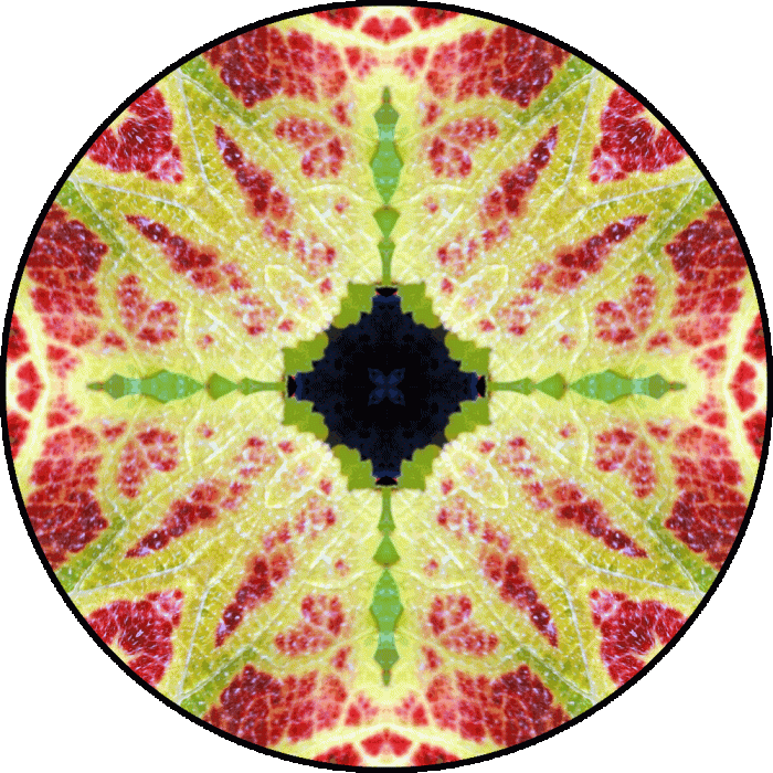 Daily Digital Mandala 98