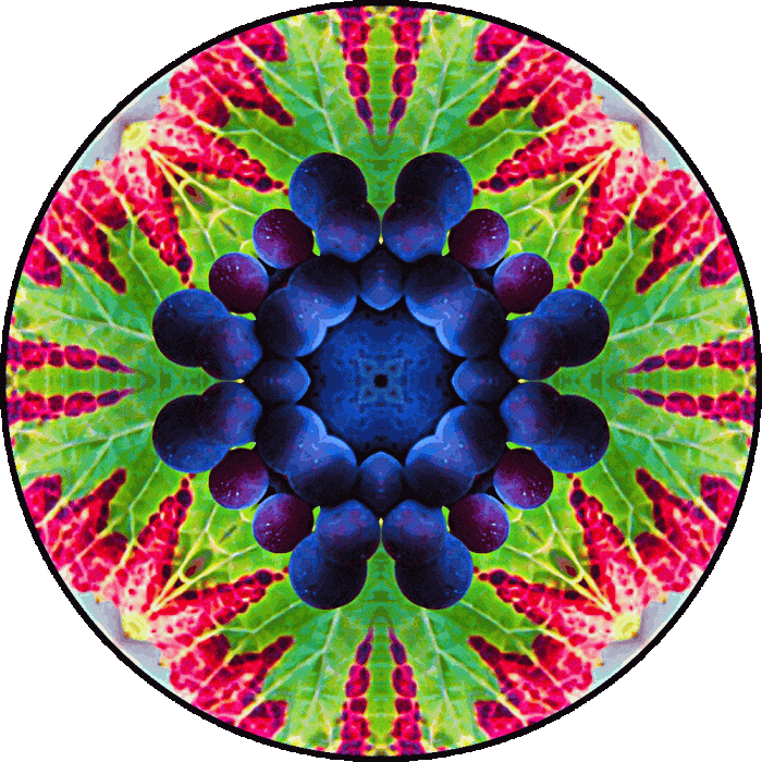 Daily Digital Mandala 120