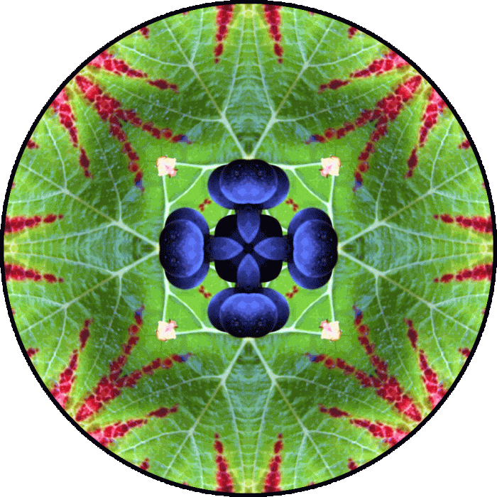 Daily Digital Mandala 105