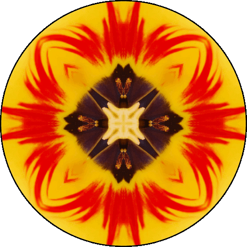 Daily Digital Mandala 95