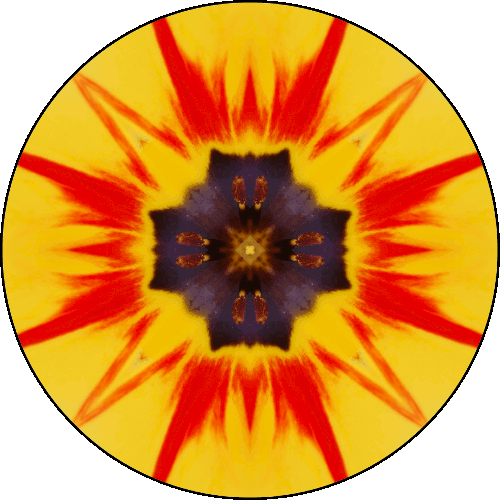 Daily Digital Mandala 104