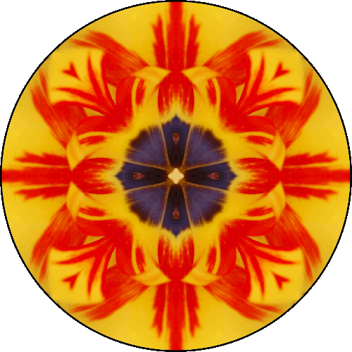 Daily Digital Mandala 109