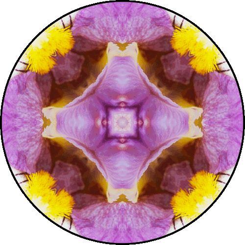 Daily Digital Mandala 110