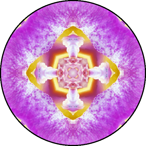Daily Digital Mandala 113