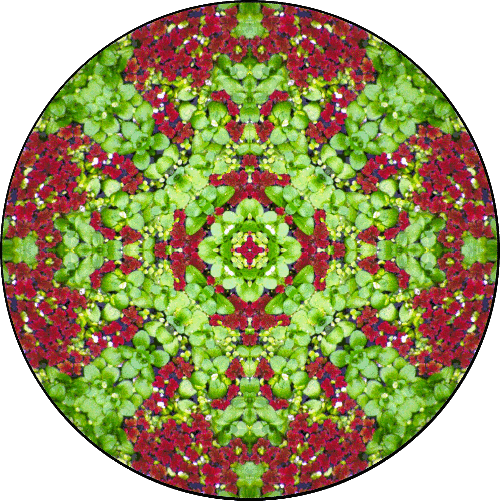 Daily Digital Mandala 123