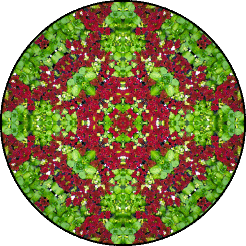 Daily Digital Mandala 134