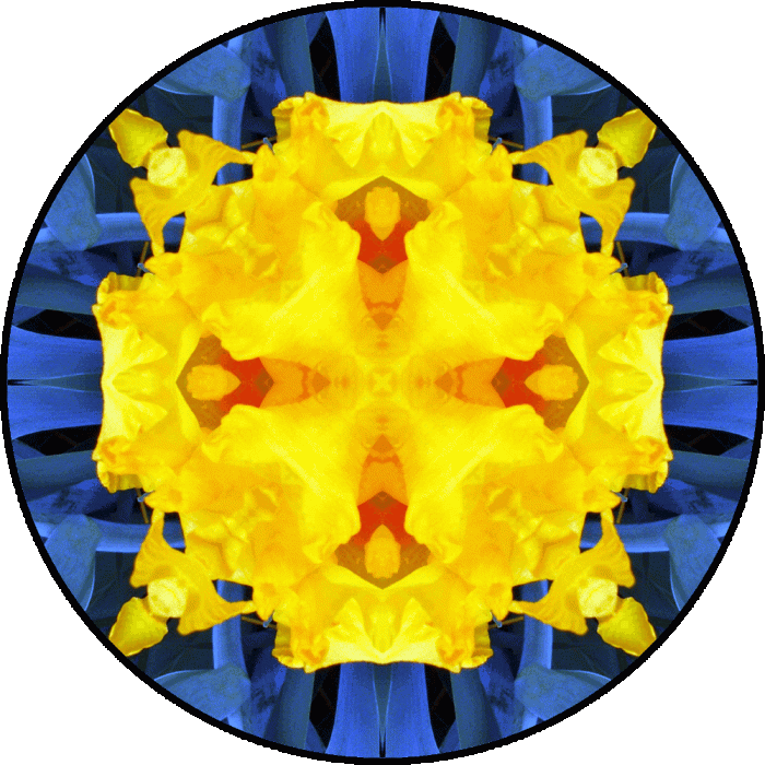 Daily Digital Mandala 166