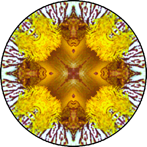 Daily Digital Mandala 137