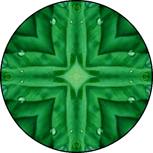 Daily Digital Mandala 138